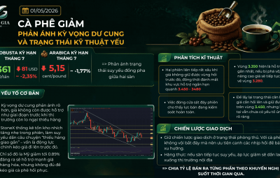 CÀ PHÊ GIẢM TRÊN CẢ HAI SÀN, PHẢN ÁNH KỲ VỌNG DƯ CUNG VÀ TRẠNG THÁI KỸ THUẬT YẾU