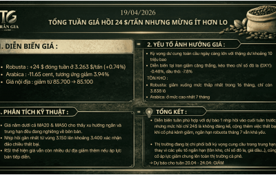 TỔNG TUẦN GIÁ HỒI 24 $/TẤN, NHƯNG TUẦN MỚI MỪNG ÍT HƠN LO 