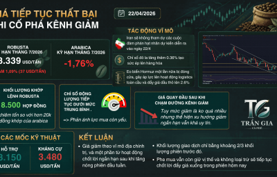 GIẢ GIẢM CHỦ YẾU THEO ĐỊA CHÍNH TRỊ - TIẾP TỤC THẤT BẠI KHI CỐ PHÁ TRENDLINE GIẢM 