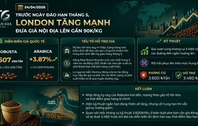 TRƯỚC NGÀY ĐÁO HẠN HỢP ĐỒNG THÁNG 5, LONDON TĂNG MẠNH KÉO GIÁ NỘI ĐỊA LÊN GẦN 90K/KG
