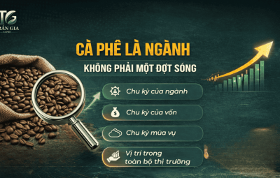 CÀ PHÊ LÀ CẢ MỘT NGÀNH - KHÔNG PHẢI CHỈ MỘT ĐỢT SÓNG