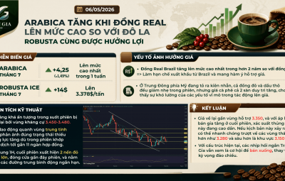 ARABICA TĂNG KHI ĐỒNG REAL LÊN MỨC CAO SO VỚI ĐÔ LA. ROBUSTA CŨNG ĐƯỢC HƯỞNG LỢI