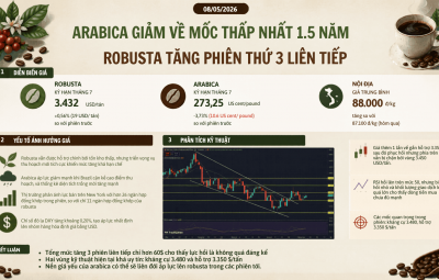 ARABICA GIẢM VỀ MỐC THẤP NHẤT 1.5 NĂM, ROBUSTA TĂNG PHIÊN THỨ 3 LIÊN TIẾP VỚI BIÊN ĐỘ NHỎ