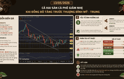 CẢ HAI SÀN CÀ PHÊ GIẢM NHẸ KHI ĐỒNG ĐÔ TĂNG TRƯỚC THƯỢNG ĐỈNH MỸ - TRUNG