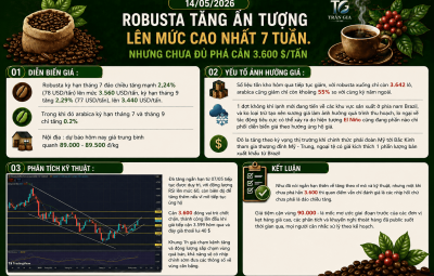 ROBUSTA TĂNG ẤN TƯỢNG LÊN MỨC CAO NHẤT 7 TUẦN. NHƯNG CHƯA ĐỦ PHÁ CẢN 3.600 $/TẤN