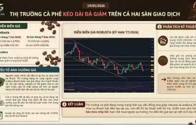 THỊ TRƯỜNG CÀ PHÊ KÉO DÀI ĐÀ GIẢM TRÊN CẢ HAI SÀN GIAO DỊCH