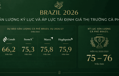 BRAZIL 2026 - SẢN LƯỢNG KỶ LỤC VÀ ÁP LỰC TÁI ĐỊNH GIÁ THỊ TRƯỜNG CÀ PHÊ