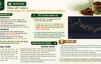 TỔNG KẾT TUẦN 2 - NHẬN ĐỊNH TUẦN 3 THÁNG 5 (18-22/05/2026) : THIÊN VỀ GIẢM