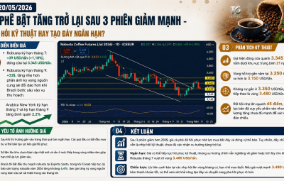 CÀ PHÊ BẬT TĂNG TRỞ LẠI SAU 3 TUẦN GIẢM MẠNH – NHỊP HỒI KỸ THUẬT HAY TẠO ĐÁY NGẮN HẠN?