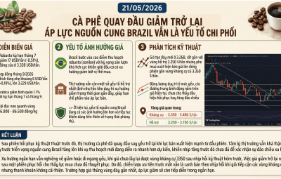 CÀ PHÊ QUAY ĐẦU GIẢM TRỞ LẠI – ÁP LỰC NGUỒN CUNG BRAZIL VẪN LÀ YẾU TỐ CHI PHỐI