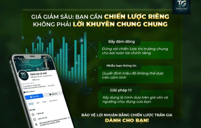 GIÁ GIẢM SÂU: BẠN CẦN MỘT CHIẾN LƯỢC RIÊNG, KHÔNG PHẢI LỜI KHUYÊN CHUNG CHUNG