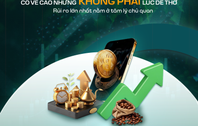 GIÁ CÀ PHÊ HIỆN TẠI: CÓ VẺ CAO NHƯNG KHÔNG PHẢI LÚC DỄ THỞ