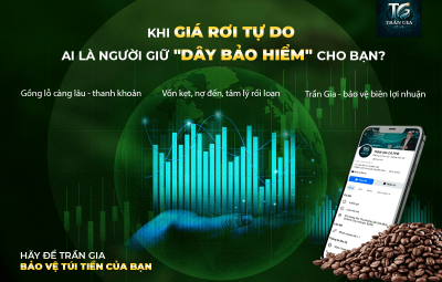 KHI GIÁ RƠI TỰ DO, AI SẼ LÀ NGƯỜI GIỮ DÂY BẢO HIỂM CHO BẠN?