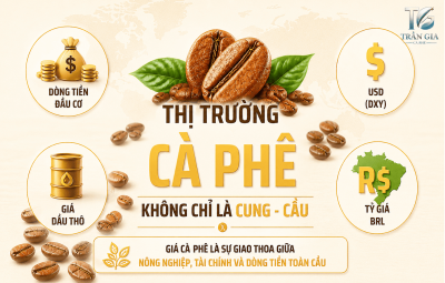 TÓM LƯỢC CÁC YẾU TỐ ẢNH HƯỞNG TỚI GIÁ CÀ PHÊ 