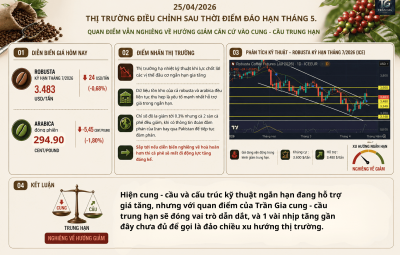 ROBUSTA CHỈNH GIẢM SAU THỜI ĐIỂM ĐÁO HẠN. TUẦN SAU SẼ QUAY LẠI XU HƯỚNG GIẢM CHÍNH?