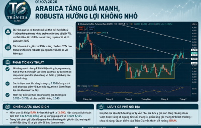 01/07/2026 ARABICA TĂNG QUÁ MẠNH, ROBUSTA HƯỞNG LỢI KHÔNG NHỎ
