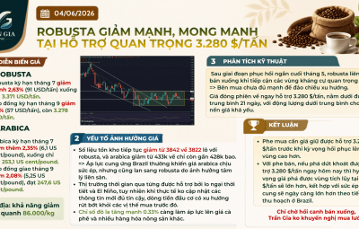ROBUSTA GIẢM MẠNH, MONG MANH TẠI HỖ TRỢ QUAN TRỌNG 3.280 $/TẤN