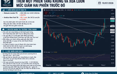 10/07/2026 - THÊM MỘT PHIÊN TĂNG KHỦNG, XÓA SẠCH MỨC GIẢM HAI PHIÊN TRƯỚC ĐÓ 