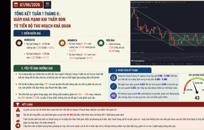 TỔNG KẾT TUẦN 1 THÁNG 6 : GIẢM KHÁ MẠNH KHI THẤM ĐÒN TỪ TIẾN ĐỘ THU HOẠCH KHẢ QUAN TẠI BRAZIL