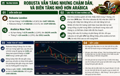 16/06/2026  - ROBUSTA VẪN TĂNG NHƯNG CHẬM DẦN, VÀ BIÊN TĂNG NHỎ HƠN ARABICA