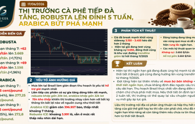 17/06/2026 – THỊ TRƯỜNG CÀ PHÊ TIẾP ĐÀ TĂNG, ROBUSTA LÊN ĐỈNH 5 TUẦN, ARABICA BỨT PHÁ MẠNH