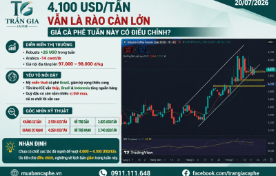 20/07/2026 - 4.100 USD/TẤN VẪN LÀ RÀO CẢN LỚN – GIÁ CÀ PHÊ TUẦN NÀY CÓ ĐIỀU CHỈNH?