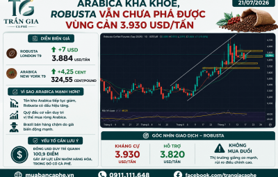 21/07/2026 - ARABICA ĐANG KHỎE HƠN, NHƯNG ROBUSTA VẪN CHƯA THỂ VƯỢT 3.930 USD/TẤN!