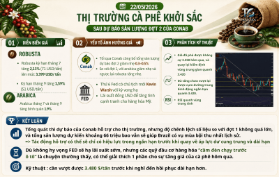 THỊ TRƯỜNG CÀ PHÊ KHỞI SẮC SAU DỰ BÁO SẢN LƯỢNG ĐỢT 2 CỦA CONAB