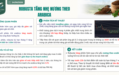 24/06/2026 ARABICA TĂNG MẠNH KHI RA TIN SẮP CÓ KHÔNG KHÍ LẠNH Ở BRAZIL, ROBUSTA ĐƯỢC HƯỞNG LỢI