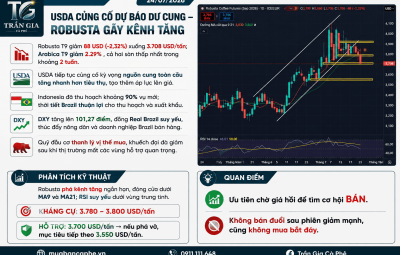 24/07/2026 - USDA CỦNG CỐ DỰ BÁO DƯ CUNG – ROBUSTA GÃY KÊNH TĂNG, RƠI VỀ 3.708 USD/TẤN