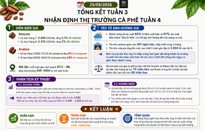 TỔNG KẾT TUẦN 3, NHẬN ĐỊNH THỊ TRƯỜNG CÀ PHÊ TUẦN 4 THÁNG 5