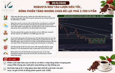 26/06/2026 ROBUSTA NHƯ TÀU LƯỢN SIÊU TỐC, ĐÓNG PHIÊN TĂNG NHƯNG CHƯA ĐỦ LỰC PHÁ 3.700 $/TẤN