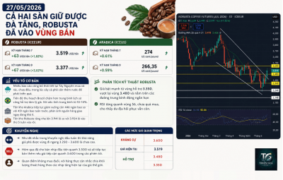 CẢ HAI SÀN GIỮ ĐƯỢC ĐÀ TĂNG, ROBUSTA ĐÃ VÀO VÙNG BÁN