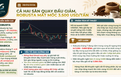 HAI SÀN CHỈNH GIẢM, ROBUSTA MẤT MỐC TÂM LÝ 3.500 $.TẤN