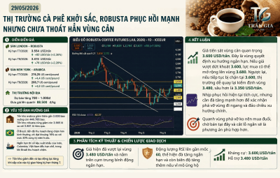 THỊ TRƯỜNG KHỞI SẮC, ROBUSTA PHỤC HỒI MẠNH NHƯNG CHƯA PHÁ ĐƯỢC VÙNG CẢN 3.600
