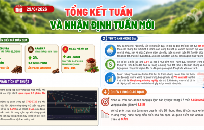 29/06/2026 TỔNG KẾT TUẦN VÀ NHẬN ĐỊNH TUẦN MỚI. LIỆU CÓ VƯỢT ĐƯỢC 90K?