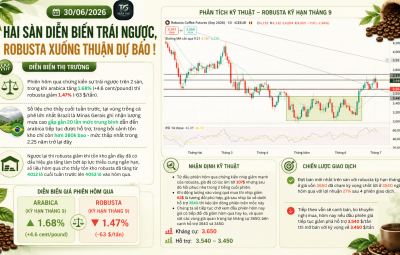 30/06/2026 HAI SÀN DIỄN BIẾN TRÁI NGƯỢC, ROBUSTA XUỐNG THUẬN DỰ BÁO !
