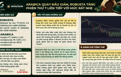 19/06/2026 ARABICA QUAY ĐẦU GIẢM, ROBUSTA TĂNG PHIÊN THỨ 7 LIÊN TIẾP VỚI MỨC RẤT NHẸ