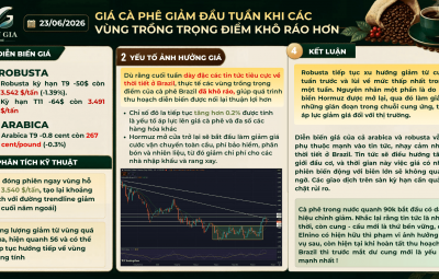 23/06/2026 GIÁ CÀ PHÊ GIẢM ĐẦU TUẦN KHI CÁC VÙNG TRỒNG TRỌNG ĐIỂM KHÔ RÁO HƠN 