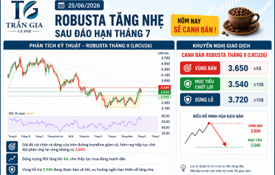 25/06/2026 ROBUSTA TĂNG VỪA PHẢI SAU ĐÁO HẠN THÁNG 7, HÔM NAY SẼ CANH BÁN 