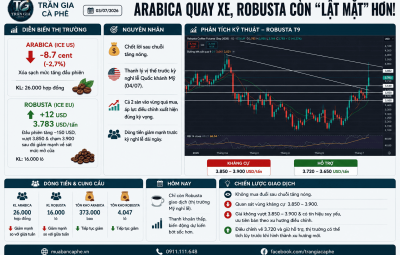 03/07/2026  ARABICA QUAY XE, ROBUSTA CÒN LẬT MẶT HƠN !