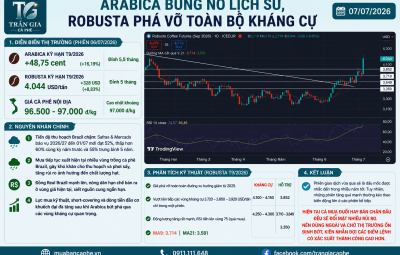 07/07/2026 | ARABICA BÙNG NỔ LỊCH SỬ, ROBUSTA PHÁ VỠ TOÀN BỘ KHÁNG CỰ