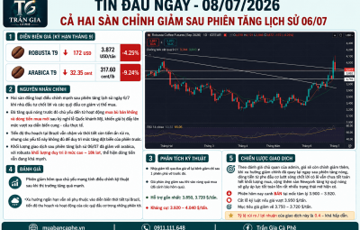 08/07/2026 CẢ HAI SÀN CHỈNH GIẢM SAU PHIÊN TĂNG LỊCH SỬ 06/07