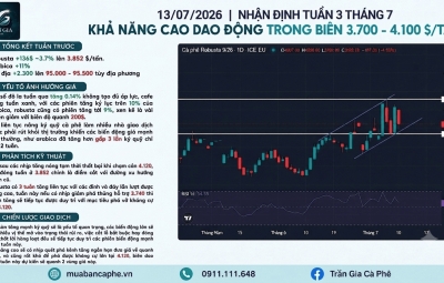 NHẬN ĐỊNH THỊ TRƯỜNG CÀ PHÊ TUẦN 3 THÁNG 7  KHẢ NĂNG CAO ROBUSTA SẼ DAO ĐỘNG TRONG BIÊN 3.700 - 4100 $/TẤN