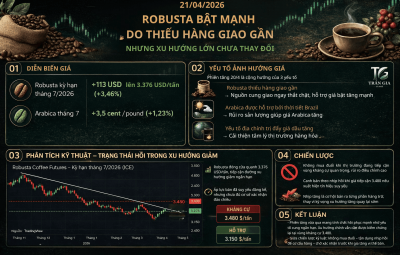 ROBUSTA TĂNG MẠNH ĐẦU TUẦN DO THIẾU HÀNG GIAO GẦN - CHỜ KIỂM ĐỊNH KÊNH GIẢM VÀ KHÁNG CỰ KỸ THUẬT