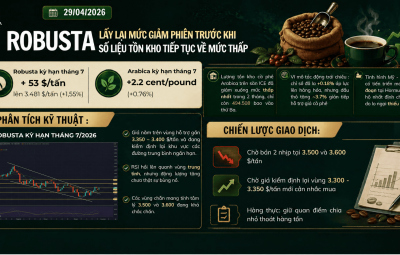 ROBUSTA LẤY LẠI MỨC GIẢM PHIÊN TRƯỚC ĐÓ, KHI SỐ LIỆU TỒN KHO TIẾP TỤC Ở MỨC THẤP