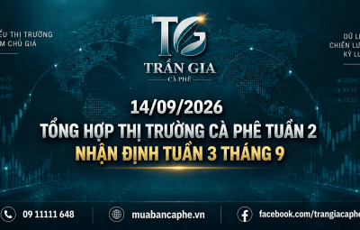 14/09/2026 – TỔNG HỢP THỊ TRƯỜNG CÀ PHÊ TUẦN 2  - NHẬN ĐỊNH TUẦN 3 THÁNG 9