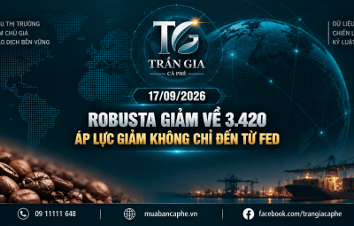 17/09/2026 – ROBUSTA GIẢM VỀ 3.420: ÁP LỰC GIẢM KHÔNG CHỈ ĐẾN TỪ FED 