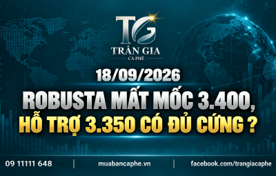 18/09/2026 – ROBUSTA MẤT 3.420, VÙNG 3.350 ĐỨNG TRƯỚC ĐỢT THỬ MỚI
