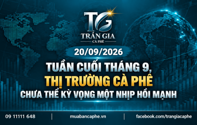 20/09/2026 – MỘT TUẦN YẾU CỦA HAI SÀN CÀ PHÊ: CHƯA CÓ NHIỀU KỲ VỌNG CHO MỘT NHỊP HỒI MẠNH
